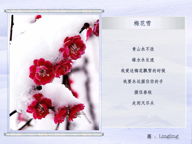 梅花雪.