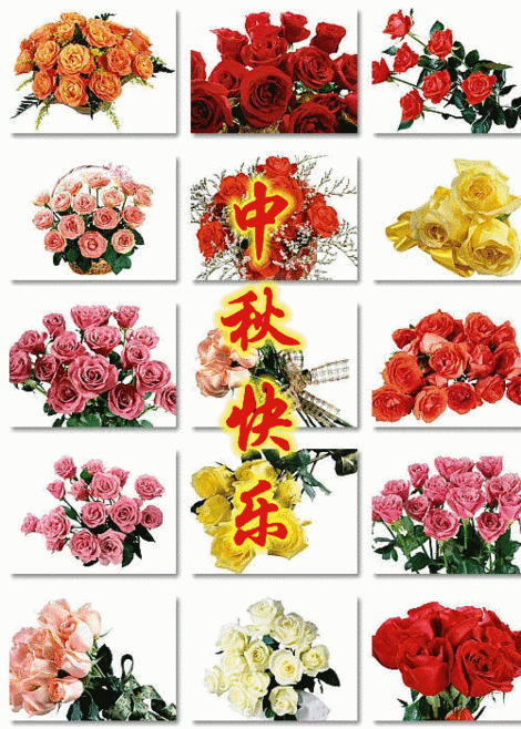 中秋祝福 节日快乐