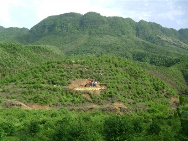 巳山亥向微兼巽乾葬山案例坏老头