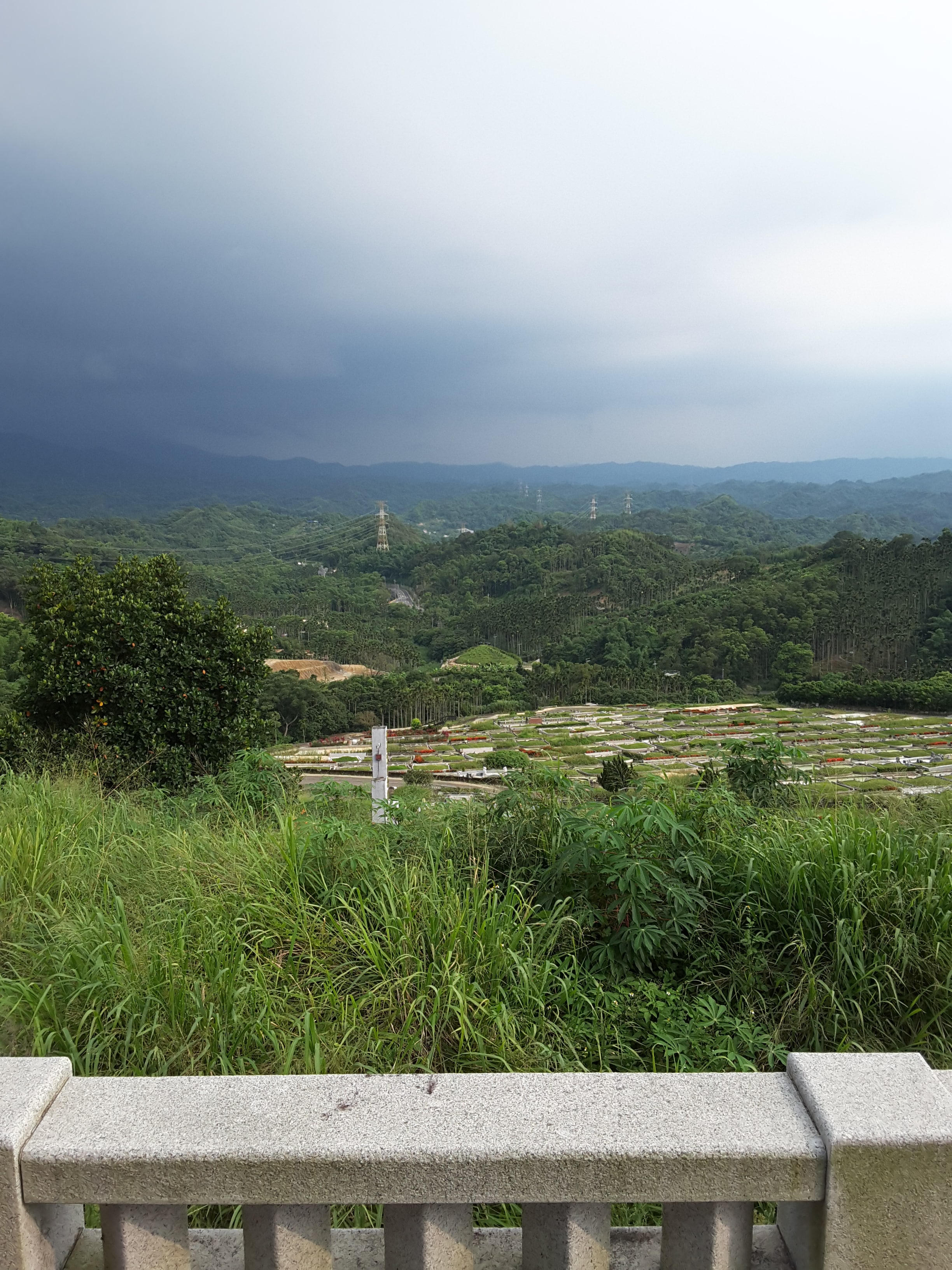 大坪顶江家祖坟壬山丙向兼子午