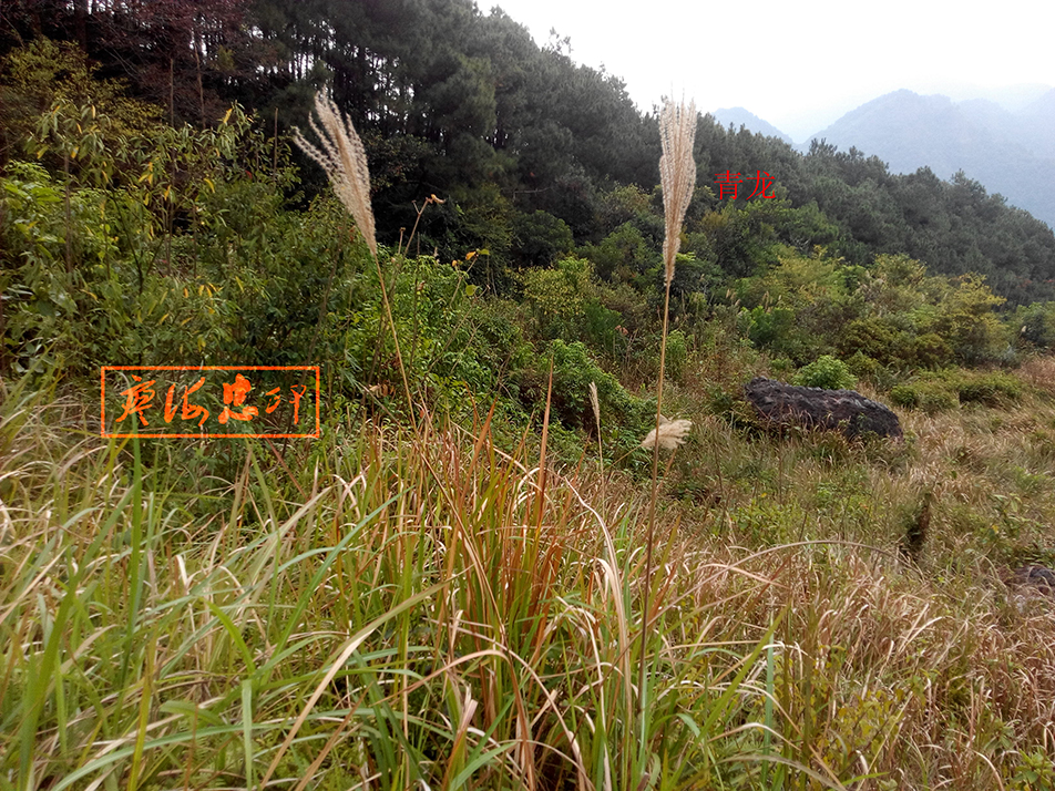 风水考察之太平天国翼王石达开祖坟"回龙顾祖"