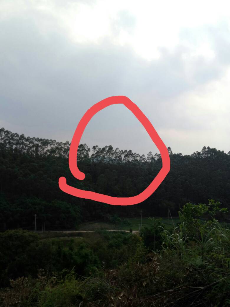 是否为探头小人峰