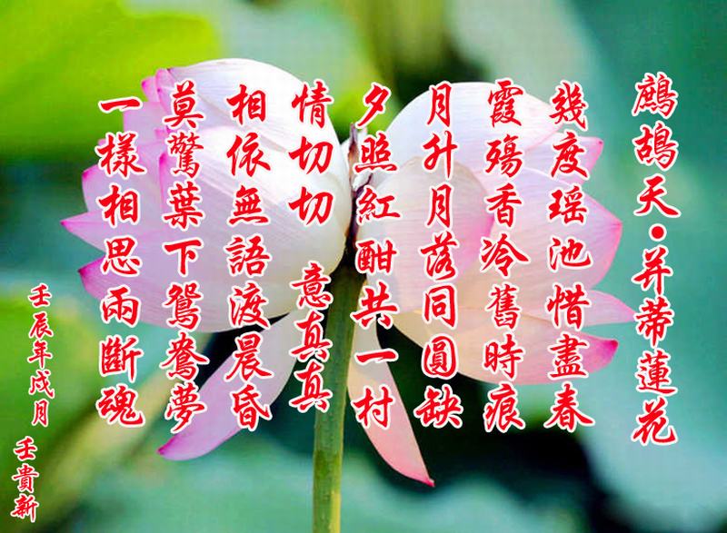 奇缘诗会31期鹧鸪天并蒂莲花与李商隐赠荷花唱和