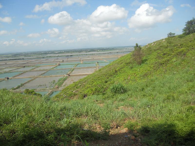 粤东海丰十八名地之一:向天螺