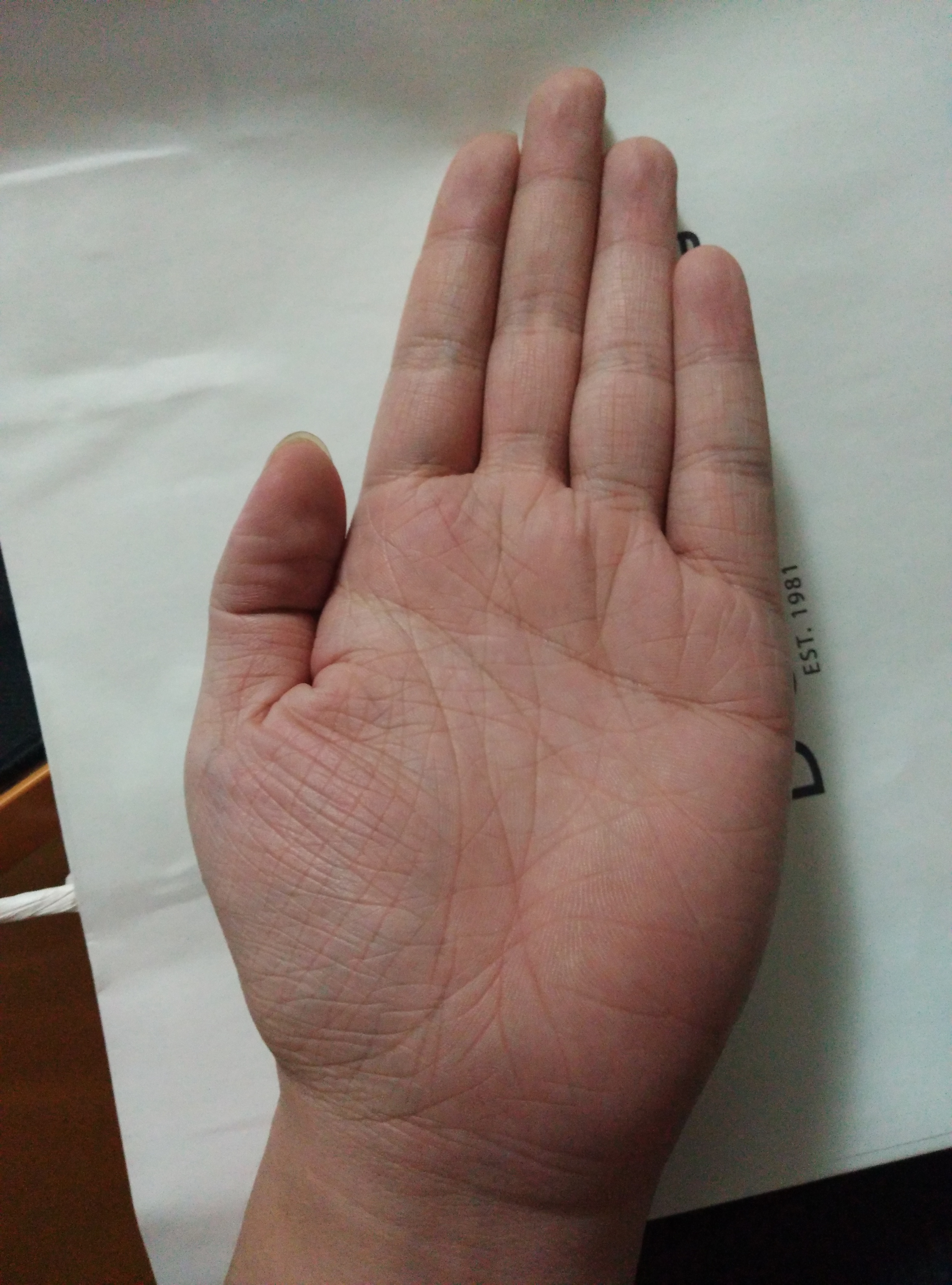 手相最好的相术是什么(手相最好的相术是什么意思)