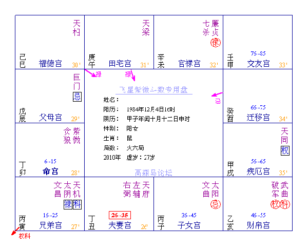飞星派===== 流日的判断 - 紫微斗数图书馆 - 周易天地论坛 风水 算命