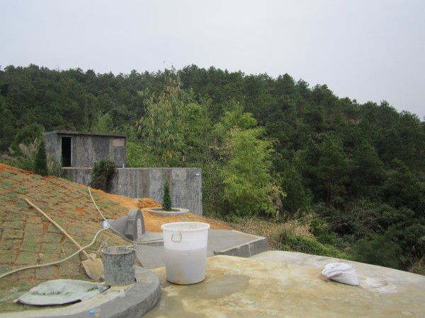 为母亲找的生基福地.请各位师傅点评.谢谢