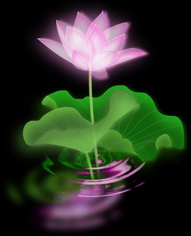 南山真人老师自传